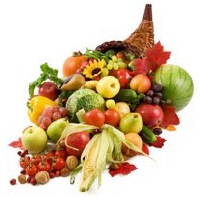 cornucopia cornucopia