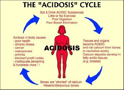 acidosis_cycle acidosis_cycle