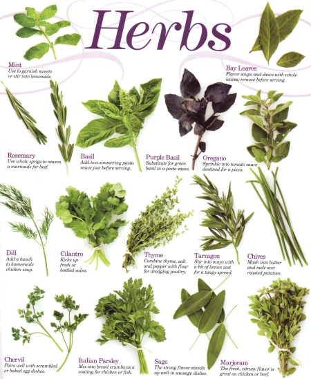 Herbs